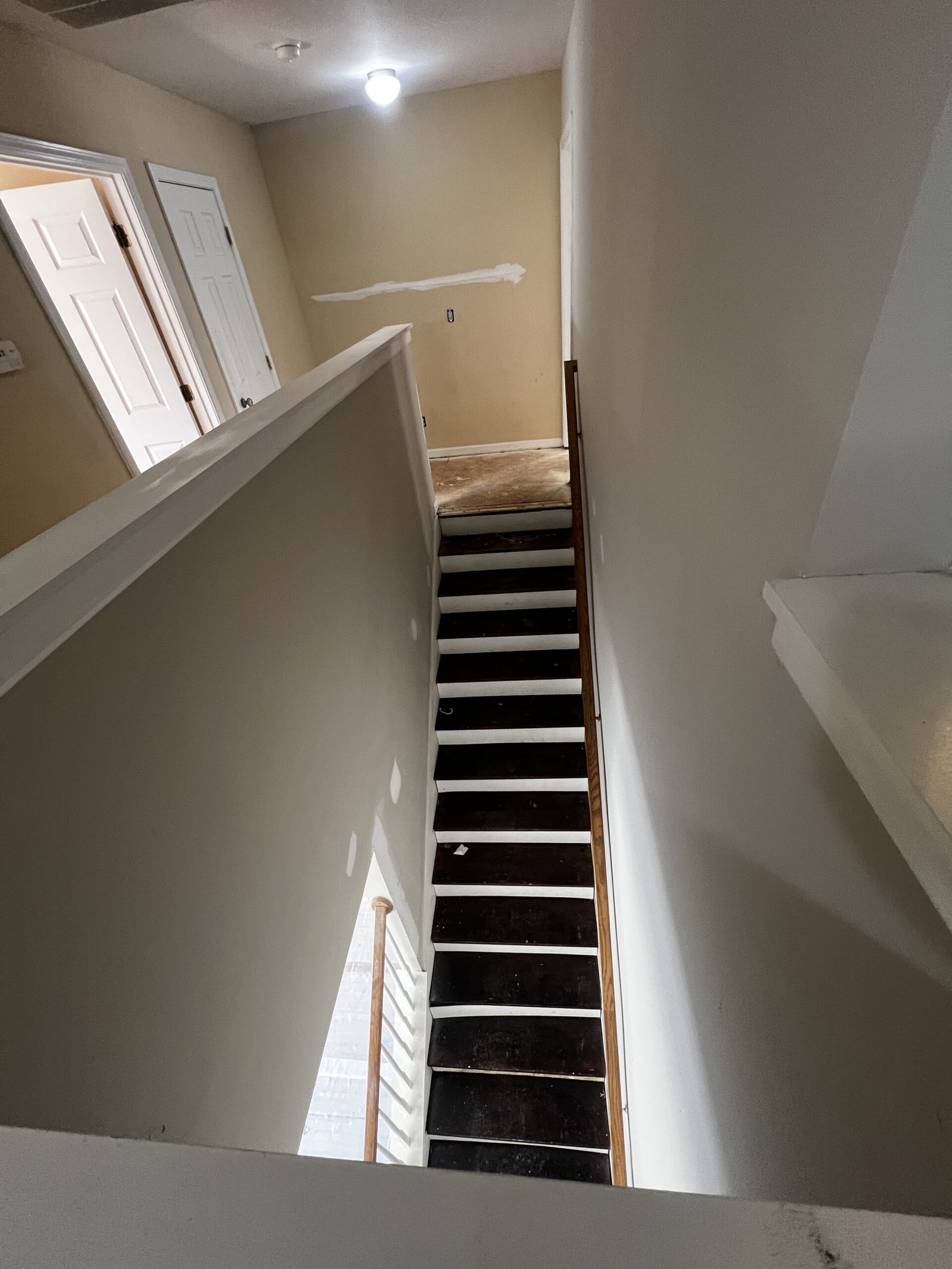IAC Construction refinishing and carpet runner